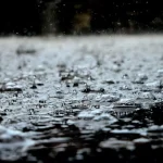 Acid Rain Causes, Effects, and Solutions