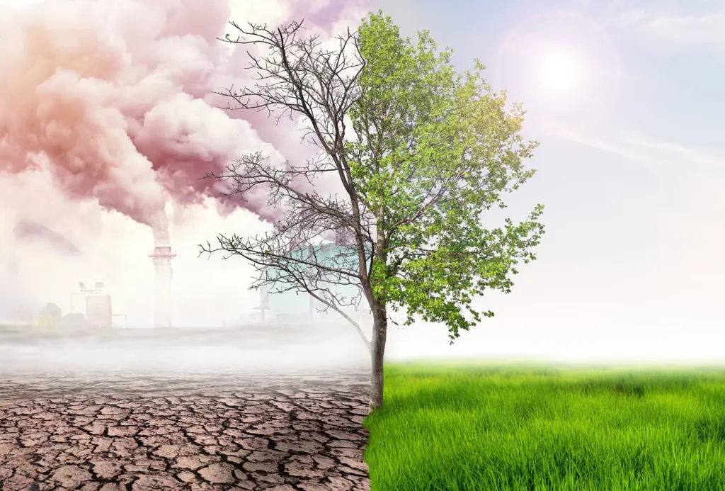 Environmental Effects of Air Pollution
