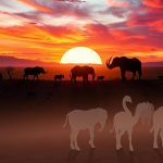 Extinction of species