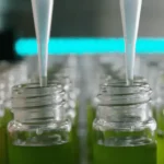 CRISPR-Cas9 A Genetic Revolution for Biofuels