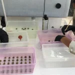 Citizen Science Empowering Communities Through Scientific Participation