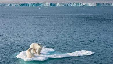 Climate Change Awareness