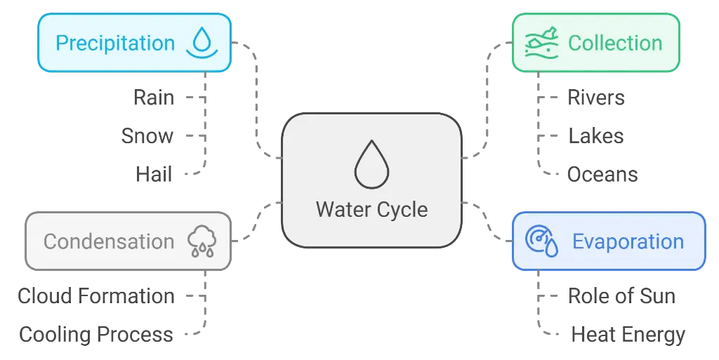Precipitation
Collection
Rain
Rivers
Snow
Lakes
Hail
Oceans
Water Cycle
Condensation
Evaporation
Cloud Formation
Role of Sun
Cooling Process
Heat Energy