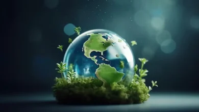 Environmental Protection for Earth