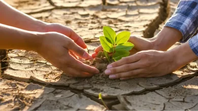Protecting Nature for Future Generations