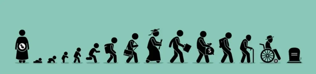 Human body aging illustration