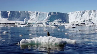 Impact of Climate Change on Ocean Dynamics