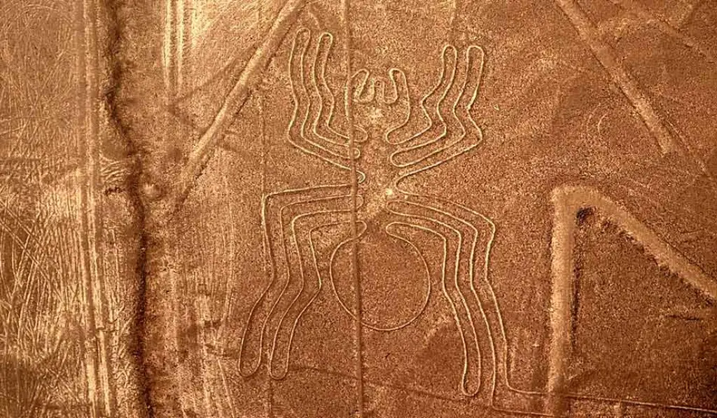 Preserving the Nazca Lines