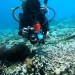What recent advances have been made in marine biology