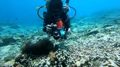 What recent advances have been made in marine biology