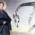 mary anning fossils