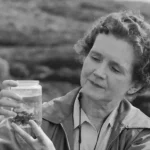 rachel carson environmentalism