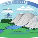 water cycle earth
